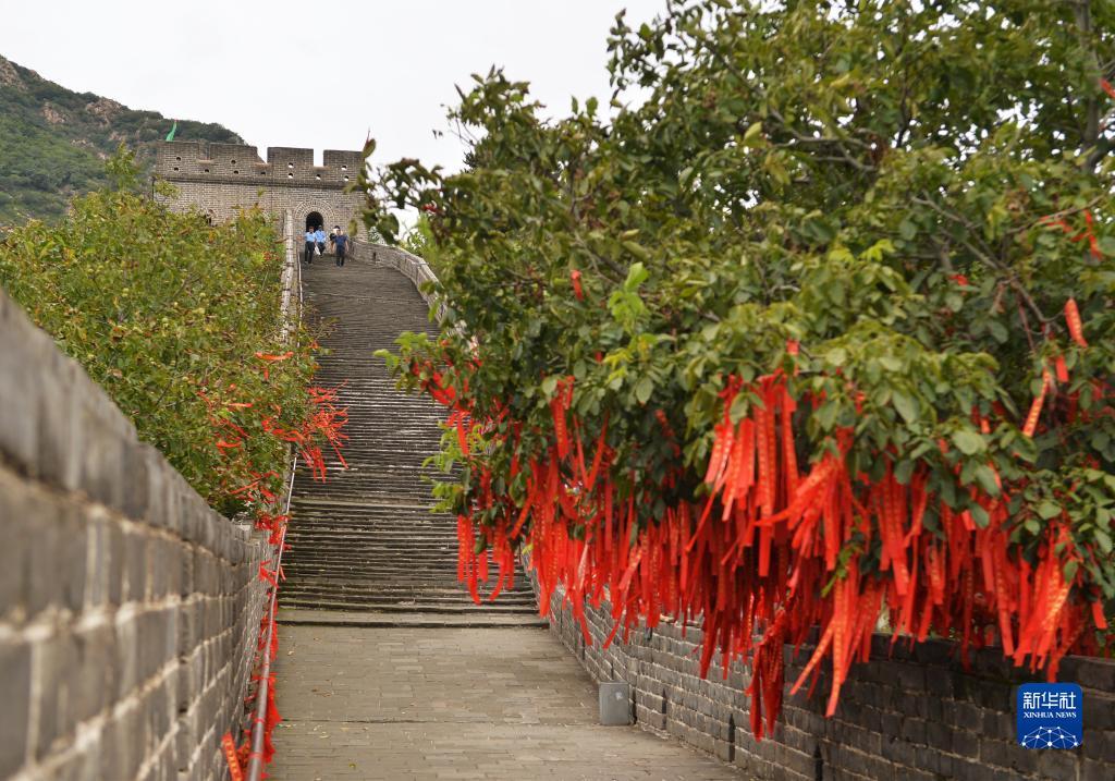菲律宾盈城集团